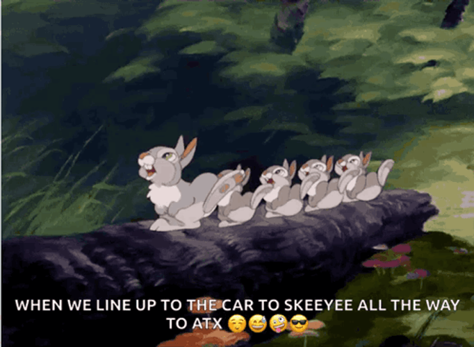 Thumper Skeeyee All The Way To ATX GIF