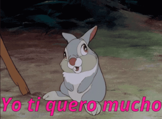 Thumper Yo Ti Quero Mucho GIF