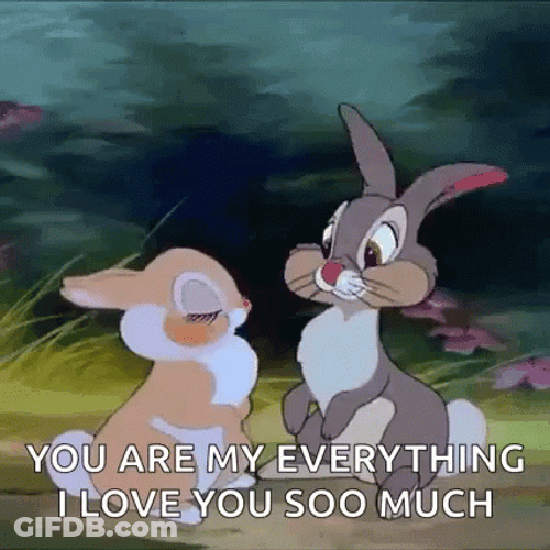 Thumper You Are My Everything GIF