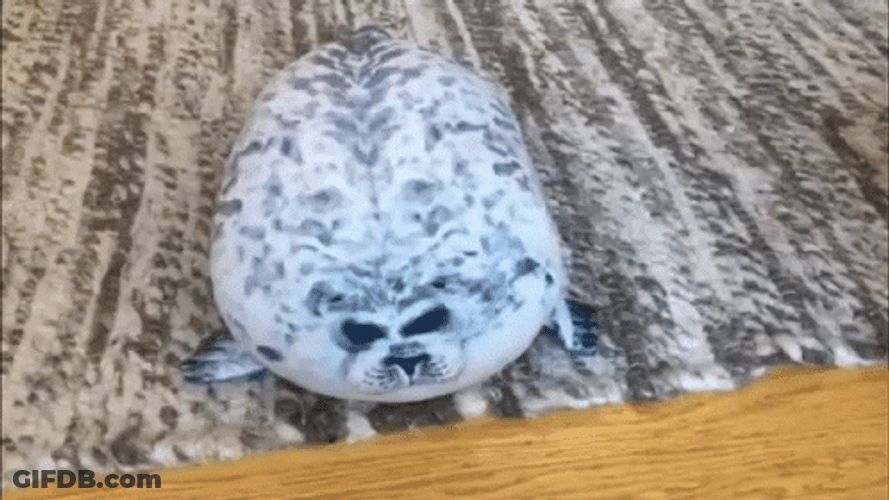 Thumping Seal Toy GIF