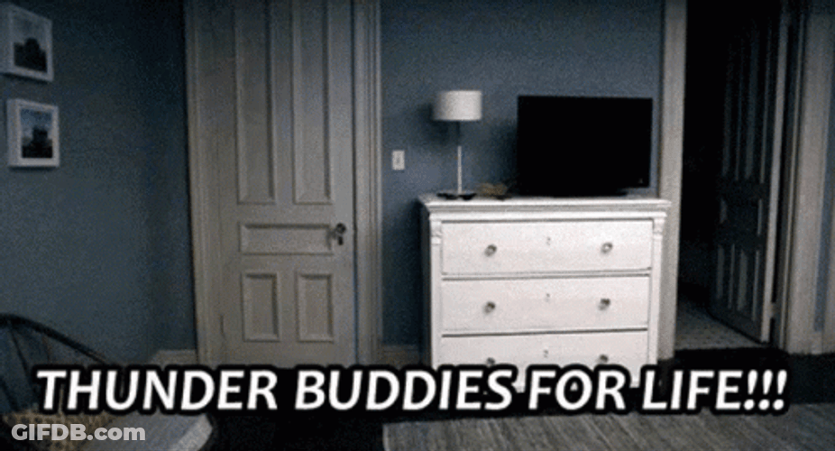 Thunder Buddies For Life GIF