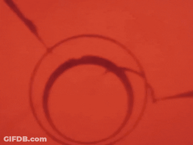 Thundercats Powerful Lion-O GIF