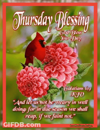 Thursday Blessing Card With Flowers And Cardinal GIF