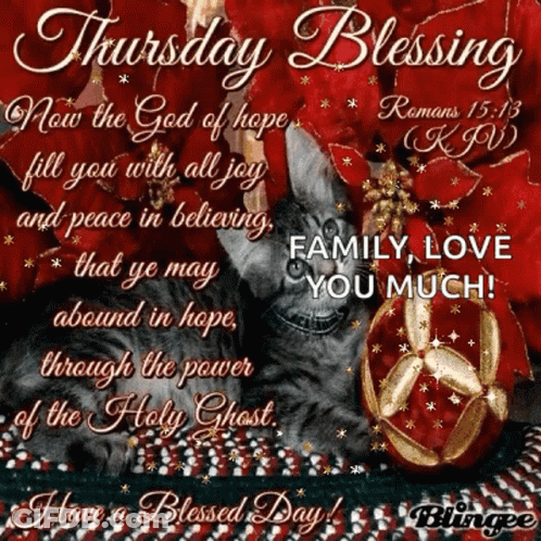 Thursday Blessing Cat GIF