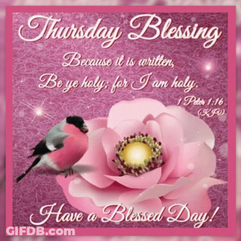 Thursday Blessing With Pink Flower And Bird GIF
