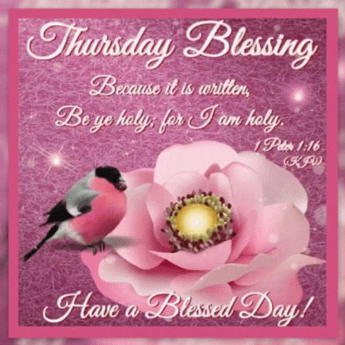 Thursday Blessings Have A Blessed Day GIF