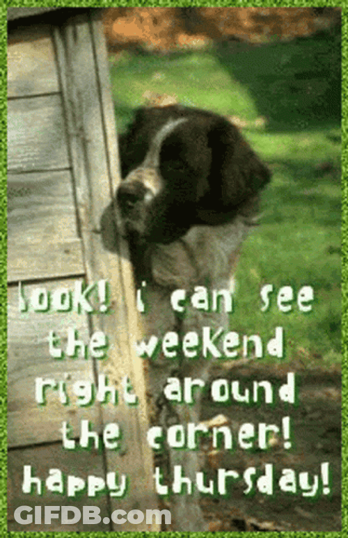 Thursday Blessings I Can See Weekend GIF