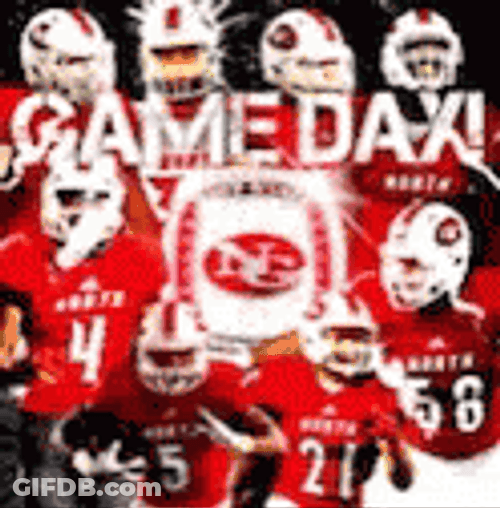 Thursday Night Football Game Day GIF