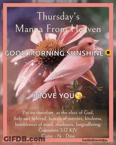 Thursday's Manna From Heaven Good Morning Sunshine GIF