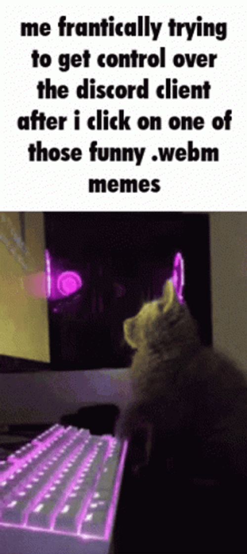 Thursday Work Fast Meme GIF