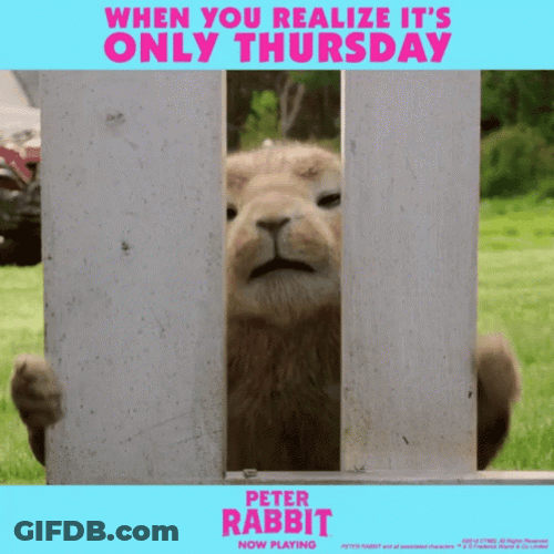 Thursday Work Meme Petter Rabbit GIF
