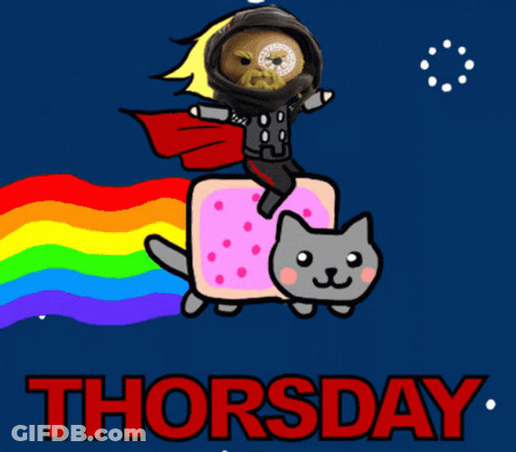 Thursday Work Meme Super Cat GIF