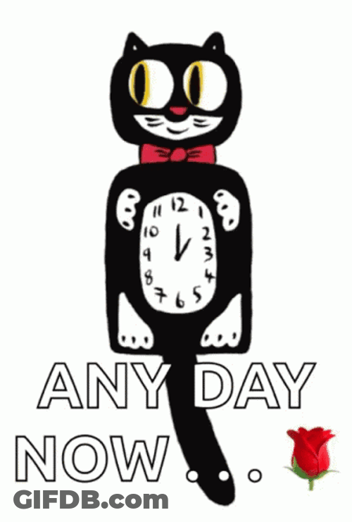 Tick Tock Grandfather Clock Black Cat GIF