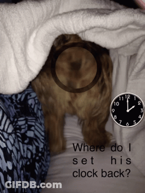 Ticking Clock GIF