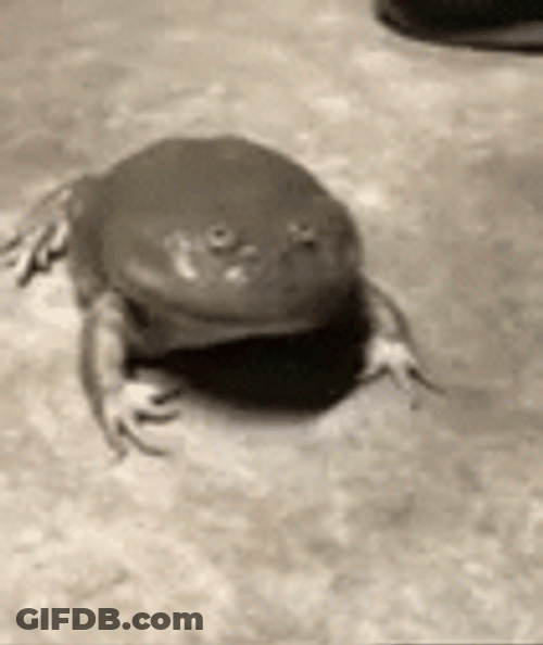 Ticklish Laughing Frog GIF