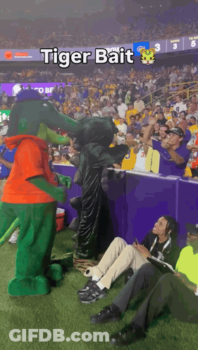 Tiger Bait Mascot At Football Game GIF