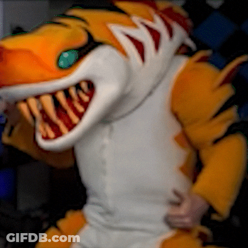 Tiger Dancing Shark Mascot GIF