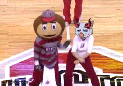 Tiger Eating Ice On Ground GIF