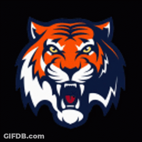 Tiger Face Painting On Dark Background GIF