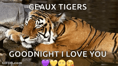 Tiger Geaux Tigers Goodnight I Love You GIF