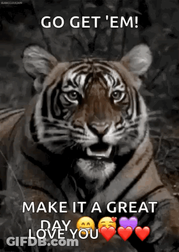 Tiger Go Get 'Em Make It A Great Day Love You GIF