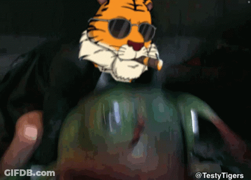 Tiger In Sunglasses Smoking Cigar #Testytigers GIF