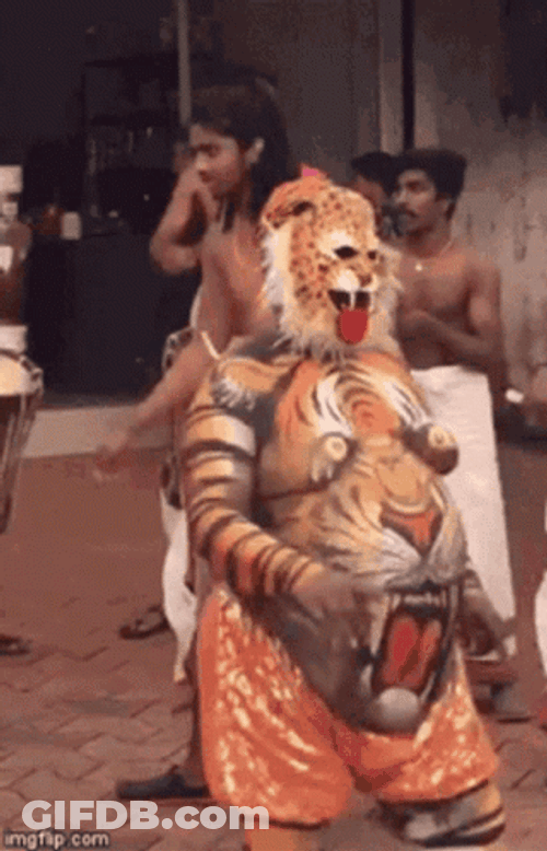 Tiger King Tiger Belly Paint GIF