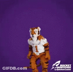 Tiger Mascot Clemson Wins GIF
