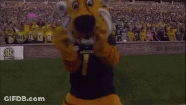 Tiger Mascot Giving Middle Finger In Crowd GIF