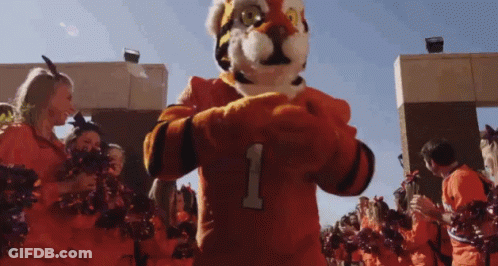 Tiger Mascot In Number 1 Jersey Surrounded By Cheerleaders GIF