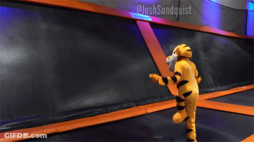 Tiger Mascot Jumping On Trampoline @Joshsundquist GIF