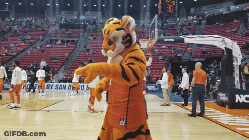 Tiger Mascot On Basketball Court With Scoreboard 30 GIF