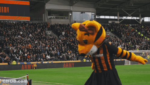 Tiger Mascot On Soccer Field In Front Of Hull City Sign GIF