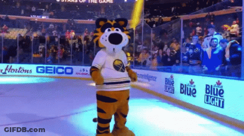 Tiger Mascot Standing On Ice GIF