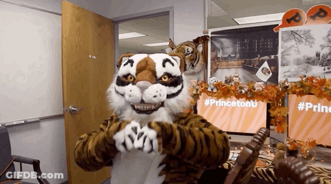 Tiger Mascot With Princeton Sign GIF