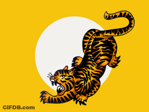 Tiger On Yellow Background With White Circle GIF