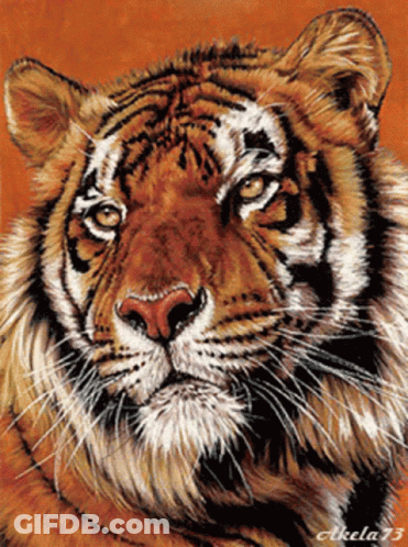 Tiger Painting With Number 73 GIF