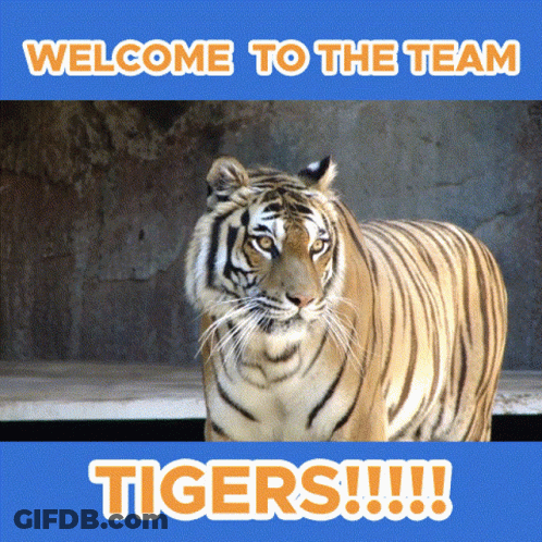Tiger Saying Welcome To The Team Tigers GIF