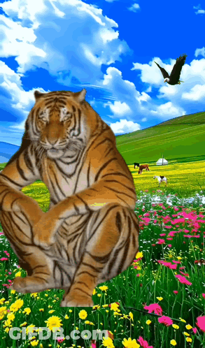 Tiger Sitting In Flower Field With Bird GIF