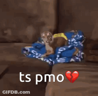 Tiger Sitting On Couch With Broken Heart And Ts Pmo GIF