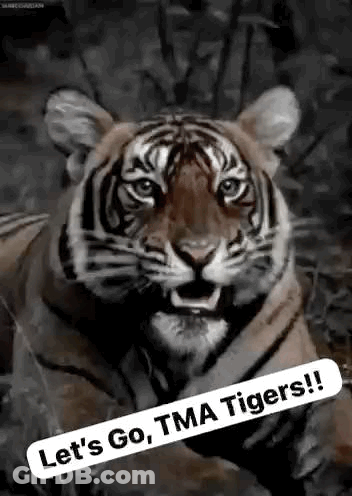 Tiger Standing In Woods With Lets Go Sign GIF