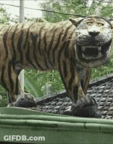 Tiger Statue On Green Gutter GIF
