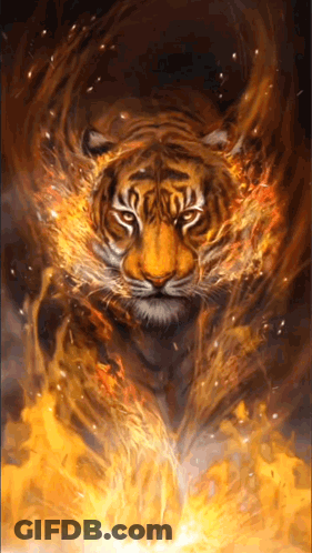 Tiger Surrounded By Fire And Flames GIF