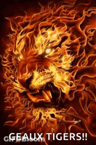 Tiger Surrounded By Flames Geaux Tigers GIF
