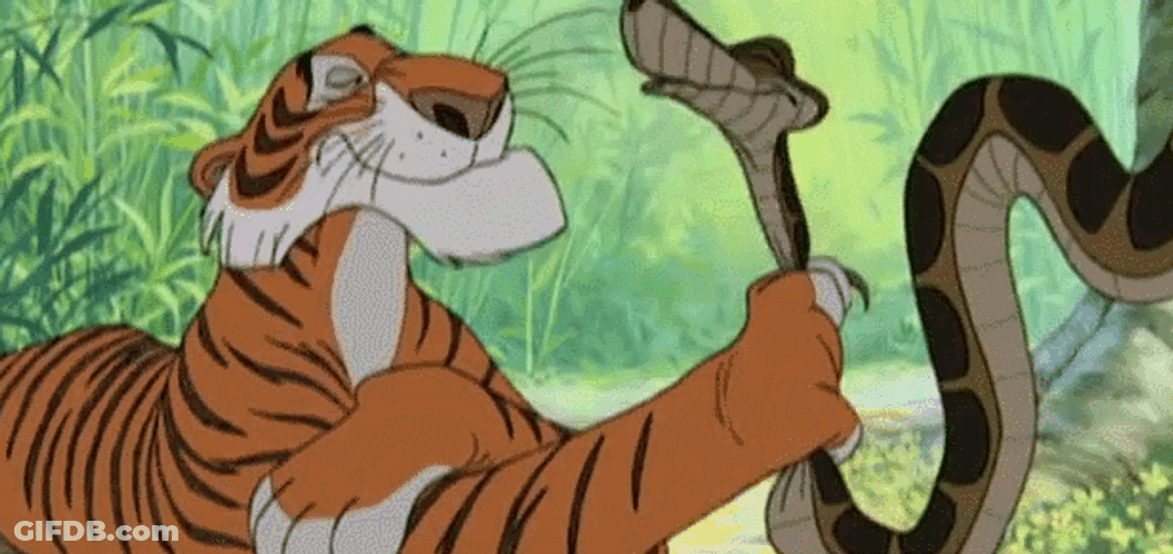 Tiger Tell Me More GIF
