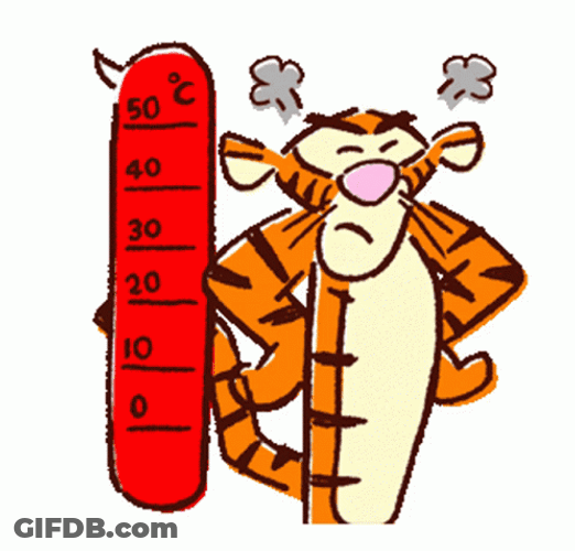 Tiger Temper Meter Reach High GIF