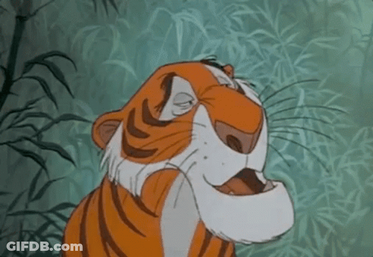 Tiger Too Bad What A Pity GIF