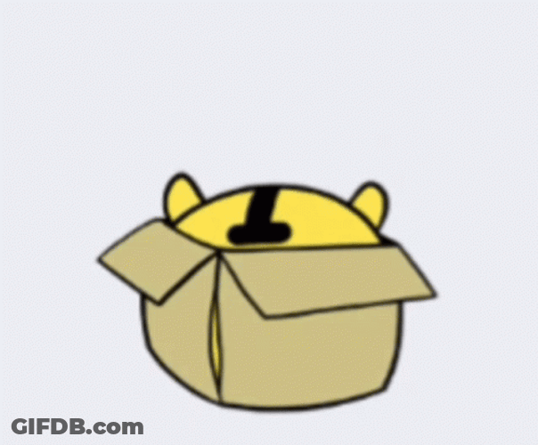 Tiger Trying To Hide With Box GIF