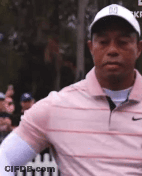 Tiger Woods Big Dawg GIF