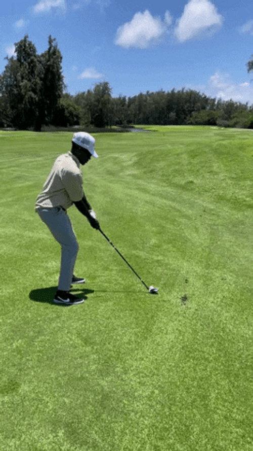 Tiger Woods Fail In Golf Course GIF